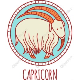 Capricorn Zodiac